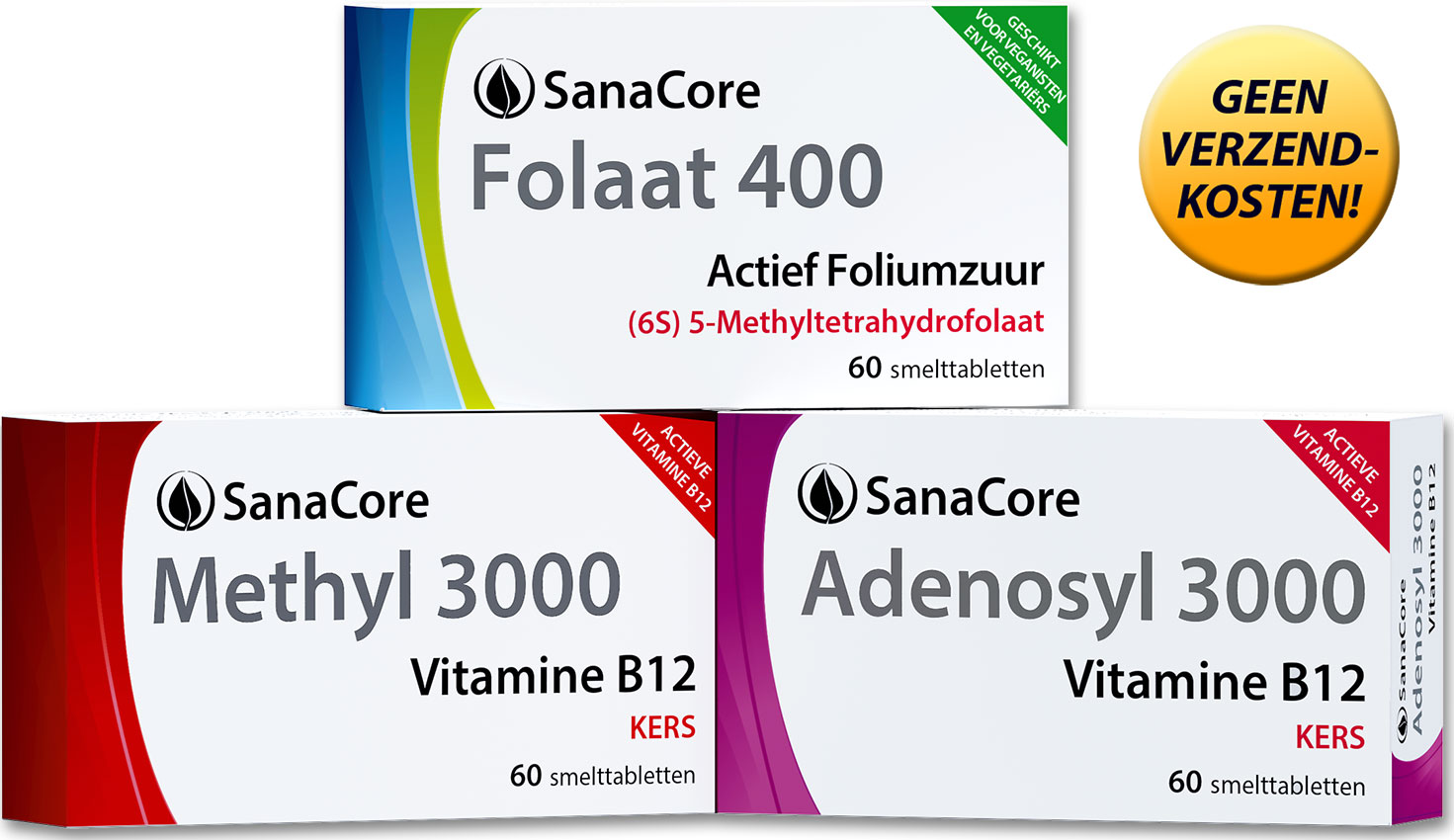 SanaCore Folaat 6S Standaard Pakket 4 maanden